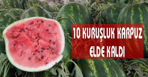 10 KURUŞLUK KARPUZ ELDE KALDI