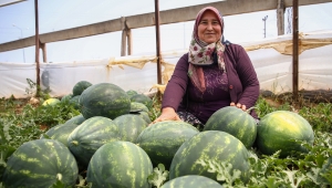 ANTALYA'DA KARPUZ HASADI 