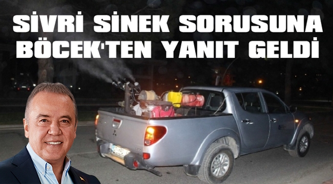 SİVRİ SİNEK SORUSUNA BÖCEK’TEN YANIT GELDİ