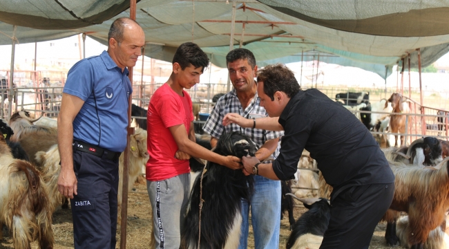 ZABITADA’DAN KURBAN DENETİMİ