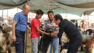 ZABITADA’DAN KURBAN DENETİMİ