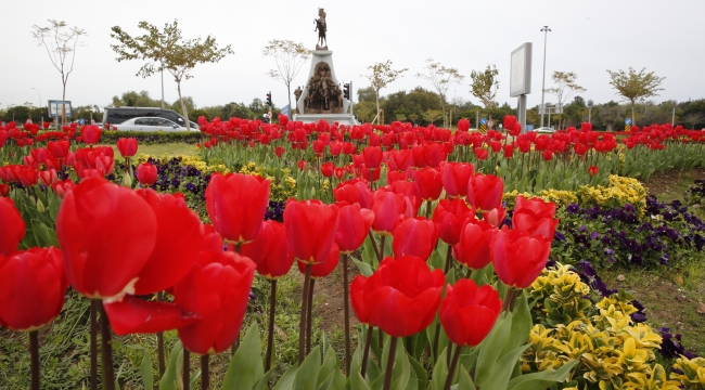 Antalya çiçek açtı