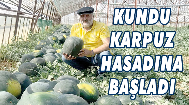 KUNDU’DA KARPUZ HASADINI YAPILDI