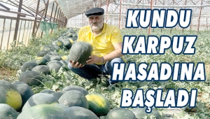 KUNDU’DA KARPUZ HASADINI YAPILDI