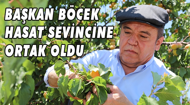 BAŞKAN BÖCEK HASAT SEVİNCİNE ORTAK OLDU