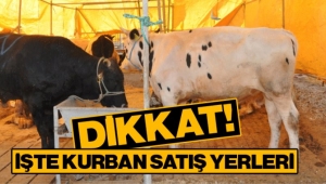 BÜYÜKŞEHİR KURBAN KESİM YERLERİNİ BELİRLEDİ