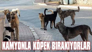 KAMYONLA KÖPEK BIRAKIYORLAR