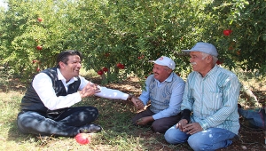 BAŞKAN TURGAY GENÇ NAR HASADINA KATILDI 