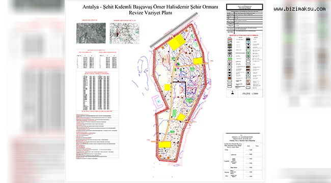 GÜZELYURT MESİRE ALANI İHALEYE ÇIKIYOR