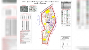 GÜZELYURT MESİRE ALANI İHALEYE ÇIKIYOR