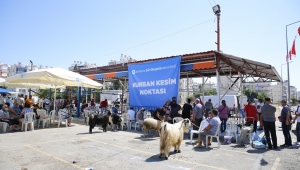 BÜYÜKŞEHİR’DEN ÜÇ NOKTADA ÜCRETSİZ KURBAN KESİMİ