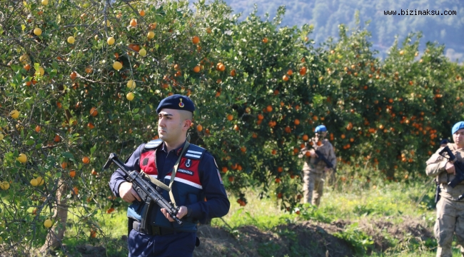 JANDARMA EKİPLERİ NARENCİYE HIRSIZLARINA KARŞI NÖBETTE