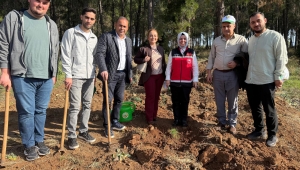 400 FİDAN TOPRAKLA BULUŞTU