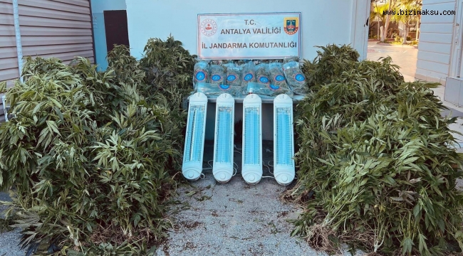 AKSU’DA UYUŞTURUCUYA GEÇİT YOK