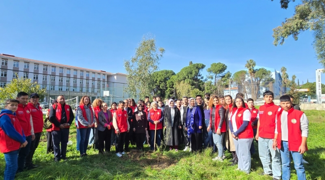 ÖĞRENCİLER OKUL BAHÇESİNE ZEYTİN DİKTİ