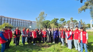 ÖĞRENCİLER OKUL BAHÇESİNE ZEYTİN DİKTİ