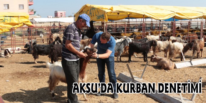 AKSU’DA KURBAN DENETİMİ