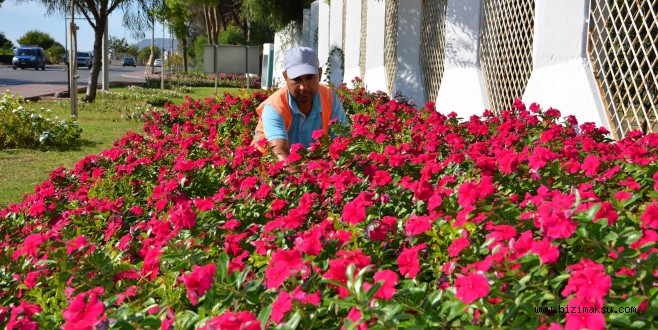  Alanya Çiçek Açacak