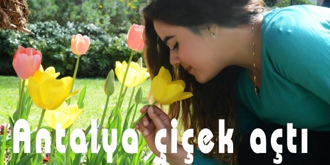 Antalya çiçek açtı