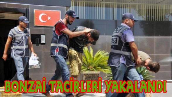 Antalya'da Bonzai Tacirleri Yakalandı