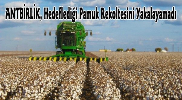 ANTBİRLİK, Hedeflediği Pamuk Rekoltesini Yakalayamadı