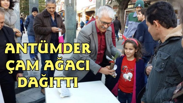 Antümder Kazım Özalp Caddesi'nde çam ağacı dağıttı