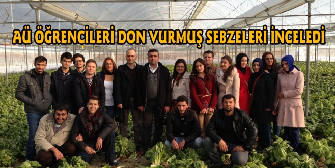 AÜ ÖĞRENCİLERİ DON VURMUŞ SEBZELERİ İNCELED