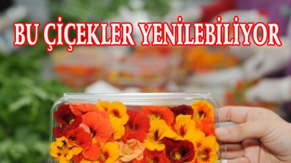 Bu Çiçekler Yenilebiliyor