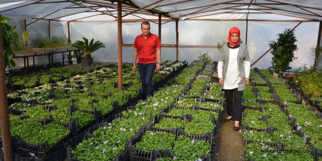Büyükşehir Alanya’da Çiçeğini Kendi Üretiyor