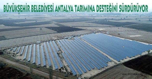 BÜYÜKŞEHİR BELEDİYESİ ANTALYA TARIMINA DESTEĞİNİ SÜRDÜRÜYOR