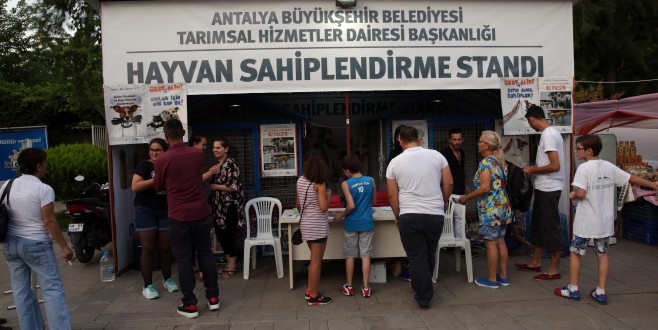 Büyükşehir Rahmet Ayında Sokak Hayvanlarını Unutmadı