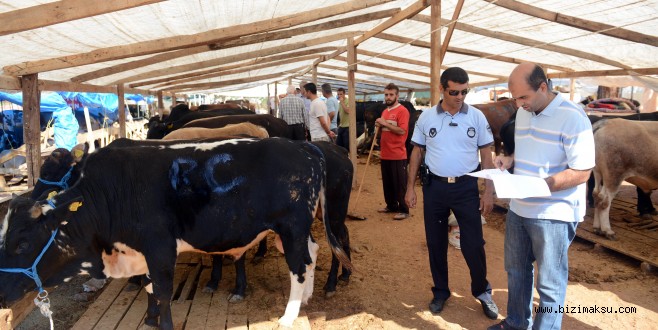 Büyükşehir Zabıta Ve Veterinerleri Kurban Satış Yerlerini Denetledi