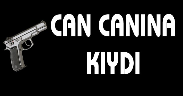 CAN CANINA KIYDI....