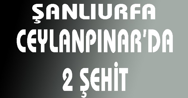 CEYLANPINAR'DA POLİSE SALDIRI 2 ŞEHİT