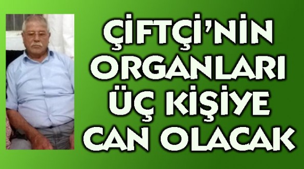 Çiftçinin Organları, Üç Kişiye Can Olacak