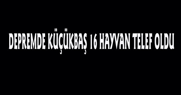 DEPREMDE KÜÇÜKBAŞ 16 HAYVAN TELEF OLDU