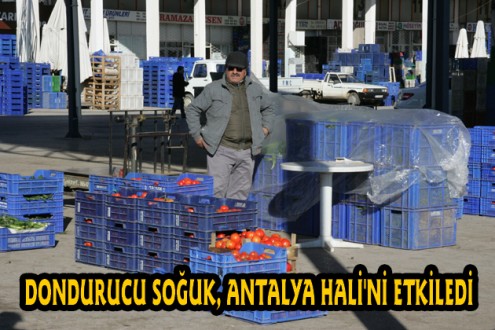 DONDURUCU SOĞUK, ANTALYA HALİ'Nİ ETKİLEDİ