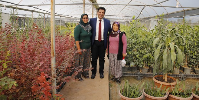 Döşemealtı Belediyesi Kendi Bitki Ve Çiçeğini Üretiyor