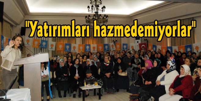 ENÇ : "Yatırımları hazmedemiyorlar"