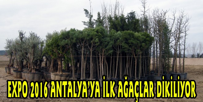 EXPO 2016 ANTALYA’YA İLK AĞAÇLAR DİKİLİYOR