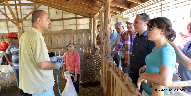 GAGAVUZ HEYET, TARIM İNCELEMESİNDE