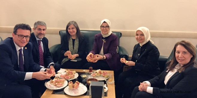 GAZİPAŞA’NIN ÇEKİRDEKSİZ NARI TBMM’NDE