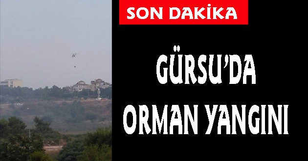 Gürsu’da orman yangını