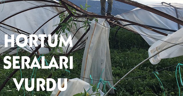 HORTUM KAŞ'TA SERALARA ZARAR VERDİ