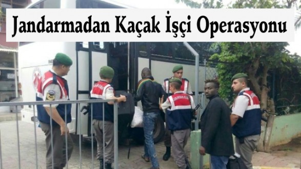 Jandarmadan Kaçak İşçi Operasyonu