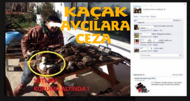 Kaçak avcılara ceza