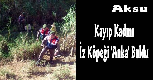 Kayıp Kadını İz Köpeği 'Anka' Buldu