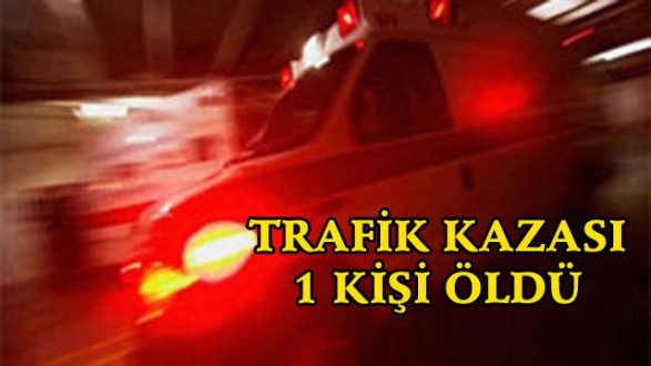 KEMER'DE TRAFİK KAZASI