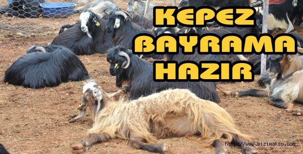 Kepez Kurban Bayramı’na hazır