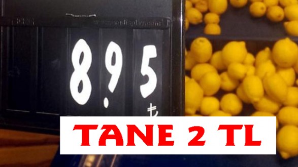 Limonun Tanesi 2 Liraya Koşuyor
